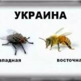 ������� � ����� ����� ������� �����