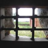 ����� ���� �������� �������� � ���� �������?