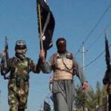 ����: ������� ������