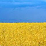 ������ ��������� �� ���� �������� �� ��������