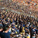 ��� ������� � �����