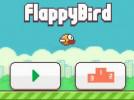   Flappy Bird    
