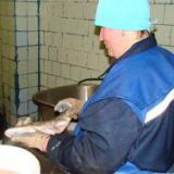 � ����� ��������������� ����� �� ����������