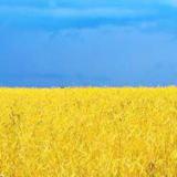 ������ ������� ���� �������� ��� �������