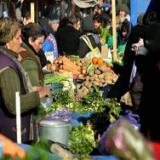 �����������: � ������ ����� ������?