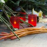 7 ���-�������� Newsland �� ������������� Facebook