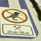 ����� ����� ������ ����� �����