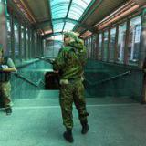 ��� �� ������ � ������� � ���� ���������� �����������