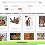 Google Image Ripper -     