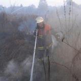 ���������� ������� ����� ������ �������