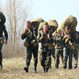 ������ 95-� ������������� ������� �������� ����������������