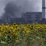 ���: �������� ���������� ��������� ��������� �����