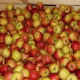 ������ � ������ ���������� �� 40%