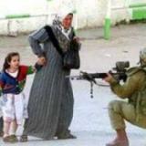 ������ ����: �������� ������