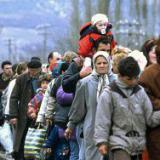 �� ������������ ���������� �������� �������� 365 ��� ������