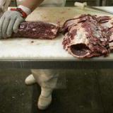 ���������������� ���� ����������� �� �������� ���� �� ��������