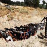 ��������� ������� ����������� �� ������