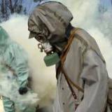 ������� ��������� ����������� ���� �� ����-������