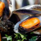 ��� ����������� ����� ������� ������� � ���������� �����