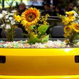 ������������� ������� �������� ����� � ������������ ����