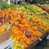 � ����������� ������ �������� ����������� ����������� ������