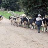 � ����� ����������� ������ ������ ������� ��-�� ������� � ����