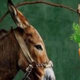 ��� �������� ����� �� ��������� �����