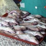 ���������� ������ ������� ������� ����