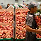 ���������������� ������ ������� ����������� � ��������� ��������������