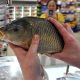 �������� ������� ������ ����������� � ����� ���������