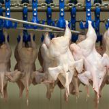 ������������ �������� ���������� ������ � ������ ����� ���������