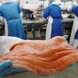 ���������� ������ � ��������� �������� ������� ���� �� 60% ��� ��