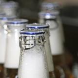 Carlsberg       ,  Bloomberg