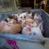 �������� �������� ������ �� ������ ������ ����� �� ����� ��