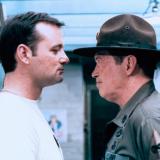 ������������� � ������� ��������� 5 �������� ���� ����� ������