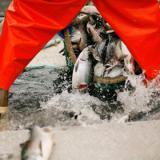 ������ ������ �������� ������������� ���������� ������������