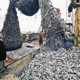 �������� �� ������ ���������� ������� ��� ������