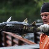 ����� �� ������ ���������� ������� ���������