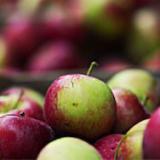 ������ ���������� ��������� ���������� ���������� 5 ��� �����