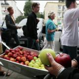 ���������� ������� ������� �� ��������� ������