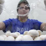 � ������ �������� �� ���������� ������� ������