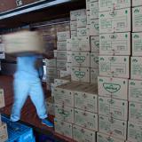 ���������������� ������ ���������� �� ���� ������������ ���������