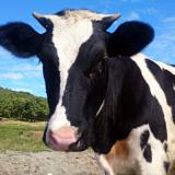 ����� 400 ��� ������ ���������� ������� ��������� ������� �� 2013 ���