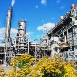 ���: ������������ ����� ���������� ������������ ��-�� �������