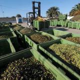 ����� ������� ����������� ������ �� ����� ������