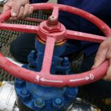 ������� ��������� ��������� �������� ���� �� ��������