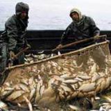 ����� ���� �������� ������� �� ������