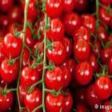 ���������� ������ �� �������� ��������� ��������