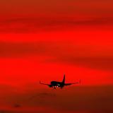 Red Wings   400          2014 .
