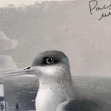 ������ ��� ������ �������� � ��������� 12-�� ��� ���������� ������